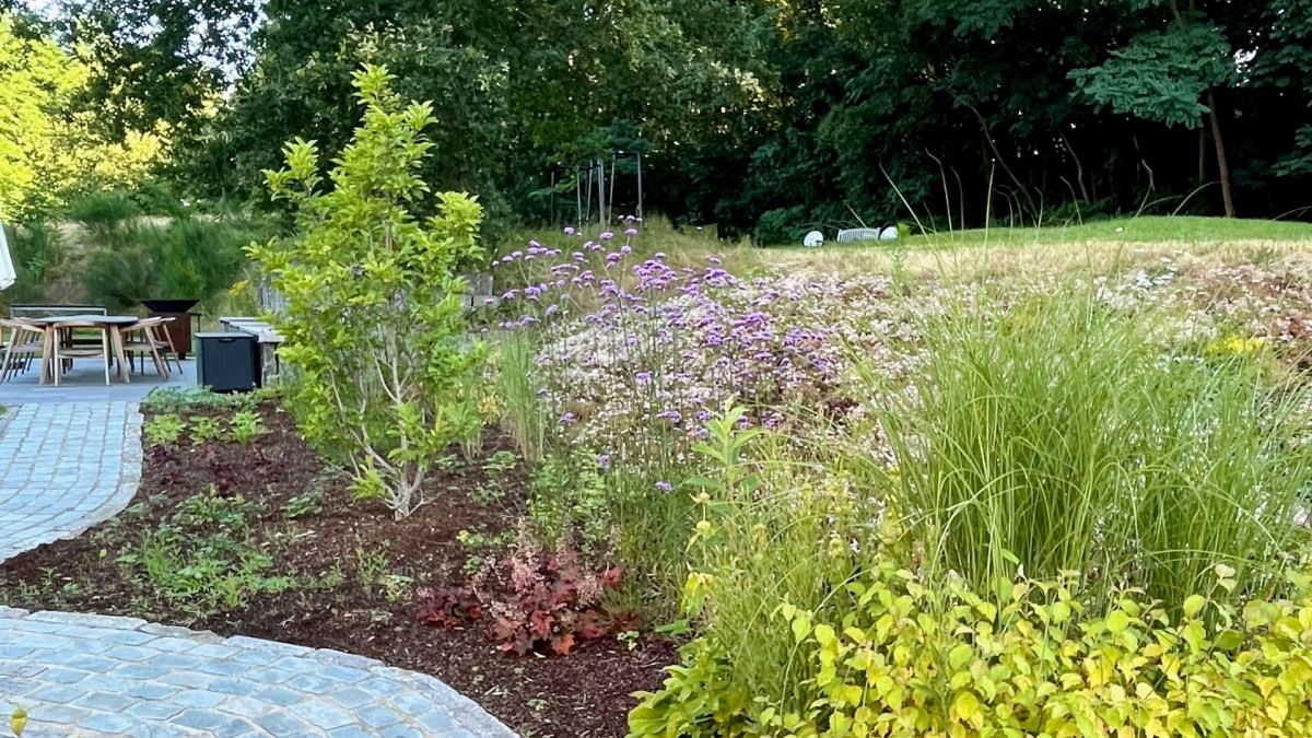 tuin beplanting